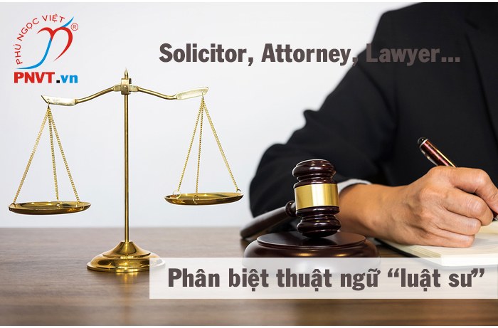 Cách sử dụng từ vựng tiếng Anh đồng nghĩa Luật sư