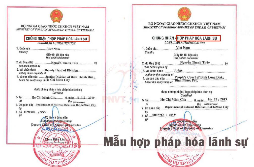 Công Ty Dịch Thuật Phú Ngọc Việt (PNVT)