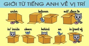 Bài tập trắc nghiệm giới từ tiếng Anh online có đáp án