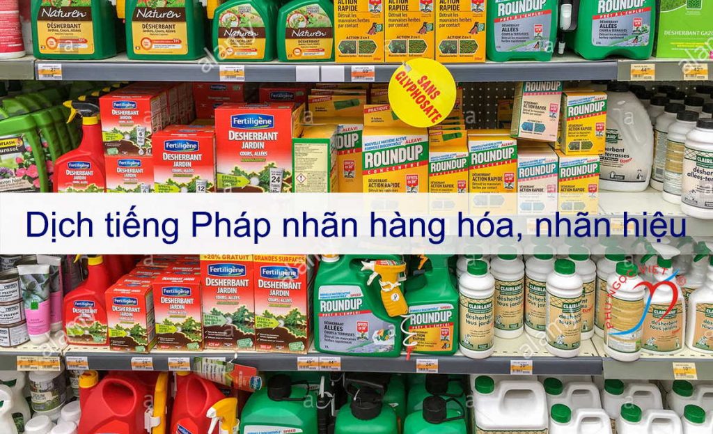 Công Ty Dịch Thuật Phú Ngọc Việt (PNVT)